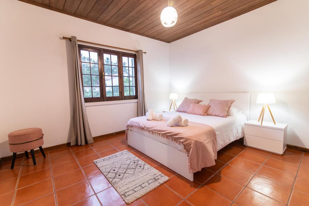 Casa Do Pinheiro With Shared Swimming Pool Βίλα São Vicente Ferreira Εξωτερικό φωτογραφία