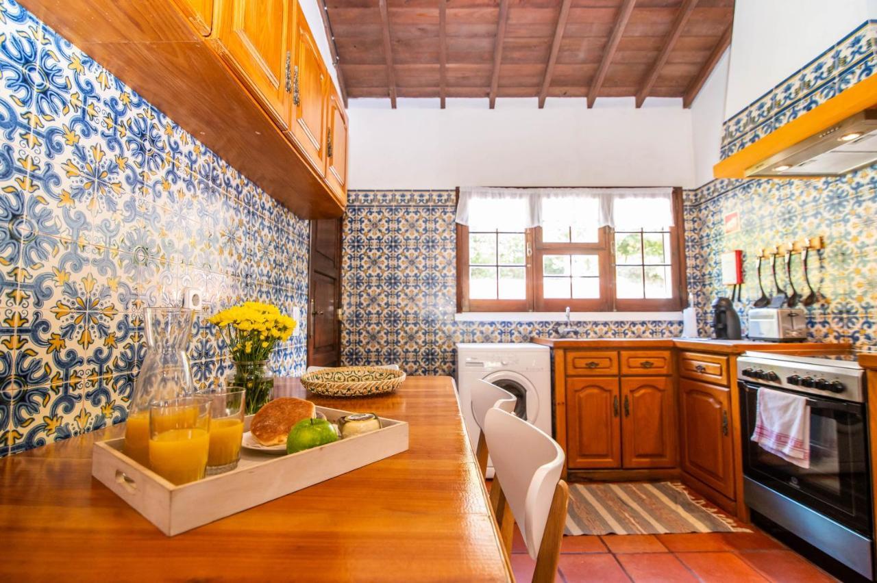 Casa Do Pinheiro With Shared Swimming Pool Βίλα São Vicente Ferreira Εξωτερικό φωτογραφία