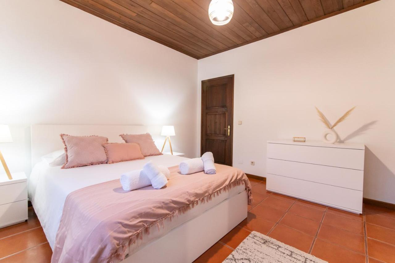 Casa Do Pinheiro With Shared Swimming Pool Βίλα São Vicente Ferreira Εξωτερικό φωτογραφία