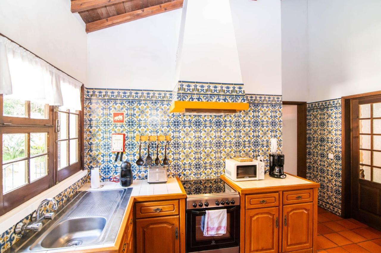 Casa Do Pinheiro With Shared Swimming Pool Βίλα São Vicente Ferreira Εξωτερικό φωτογραφία